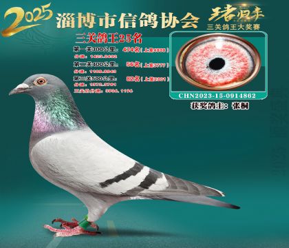 淄博鴿協(xié)普賽25名