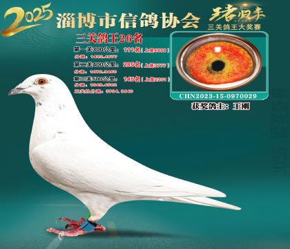 淄博鴿協(xié)普賽26名