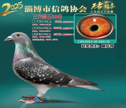 淄博鴿協(xié)普賽28名