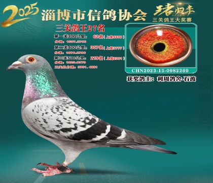 淄博鴿協(xié)普賽27名
