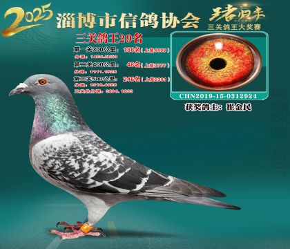 淄博鴿協(xié)普賽29名