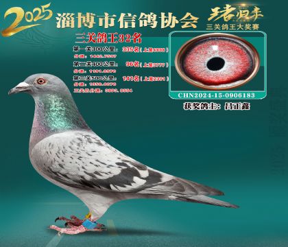 淄博鴿協(xié)普賽32名