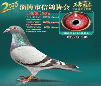 淄博鴿協(xié)普賽33名
