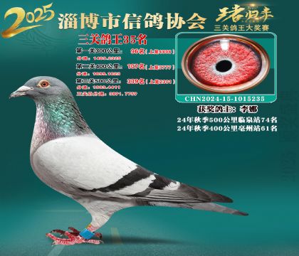 淄博鴿協(xié)普賽35名