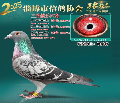 淄博鴿協(xié)普賽37名