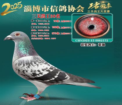 淄博鴿協(xié)普賽38名