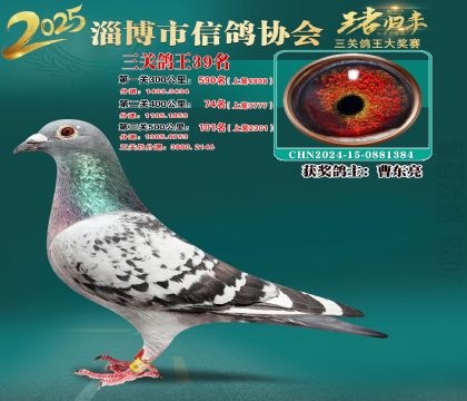 淄博鴿協(xié)普賽39名