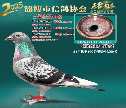 淄博鴿協(xié)普賽40名