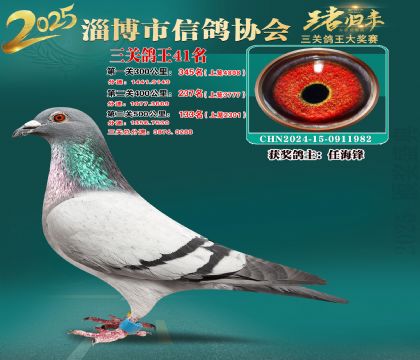 淄博鴿協(xié)普賽41名