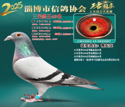 淄博鴿協(xié)普賽43名