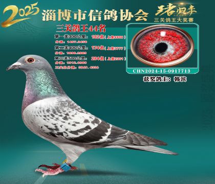 淄博鴿協(xié)普賽44名