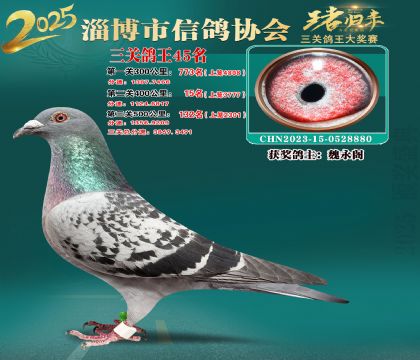 淄博鴿協(xié)普賽45名