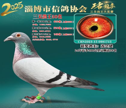 淄博鴿協(xié)普賽50名