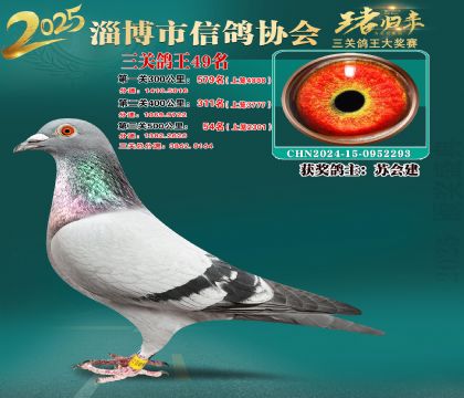 淄博鴿協(xié)普賽49名
