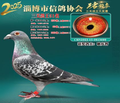 淄博鴿協(xié)普賽51名