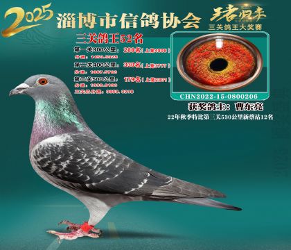 淄博鴿協(xié)普賽52名