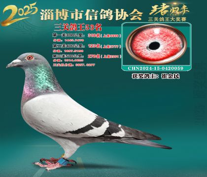 淄博鴿協(xié)普賽53名