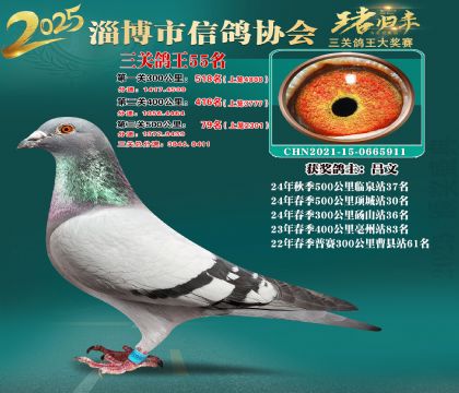 淄博鴿協(xié)普賽55名