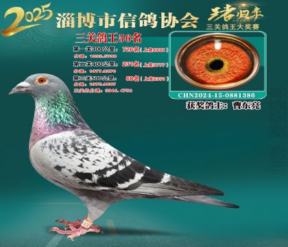 淄博鴿協(xié)普賽56名