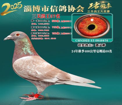 淄博鴿協(xié)普賽57名