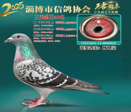 淄博鴿協(xié)普賽58名