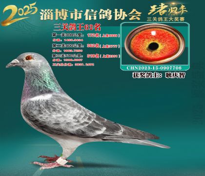 淄博鴿協(xié)普賽62名