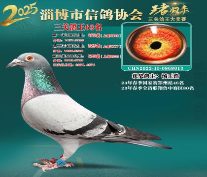 淄博鴿協(xié)普賽63名
