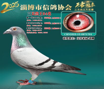 淄博鴿協(xié)普賽64名