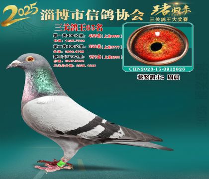 淄博鴿協(xié)普賽65名