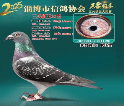 淄博鴿協(xié)普賽67名