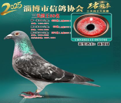 淄博鴿協(xié)普賽68名
