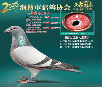 淄博鴿協(xié)普賽69名