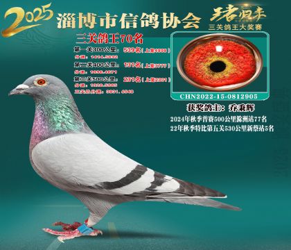 淄博鴿協(xié)普賽70名