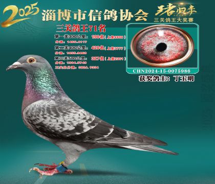 淄博鴿協(xié)普賽71名