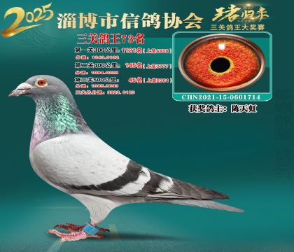 淄博鴿協(xié)普賽73名