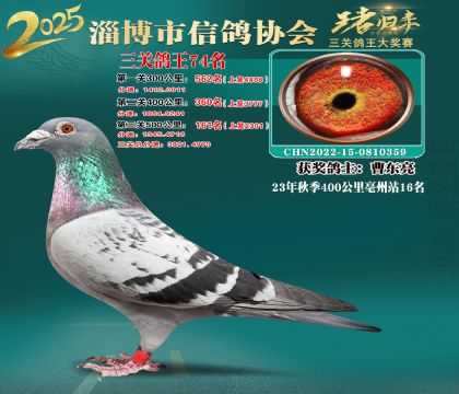淄博鴿協(xié)普賽74名