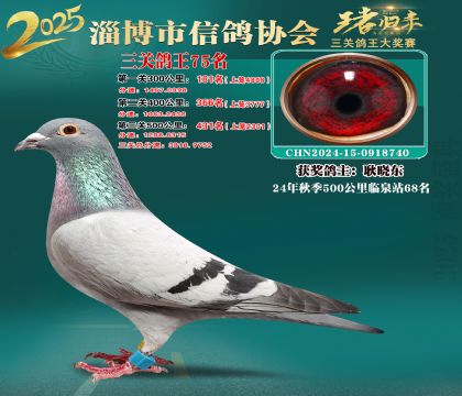 淄博鴿協(xié)普賽75名
