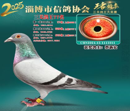 淄博鴿協(xié)普賽77名