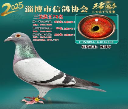 淄博鴿協(xié)普賽78名