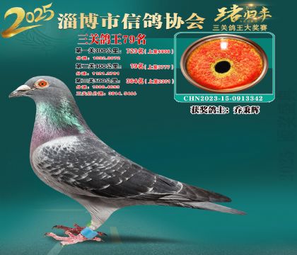 淄博鴿協(xié)普賽79名