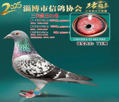 淄博鴿協(xié)普賽81名
