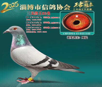 淄博鴿協(xié)普賽82名