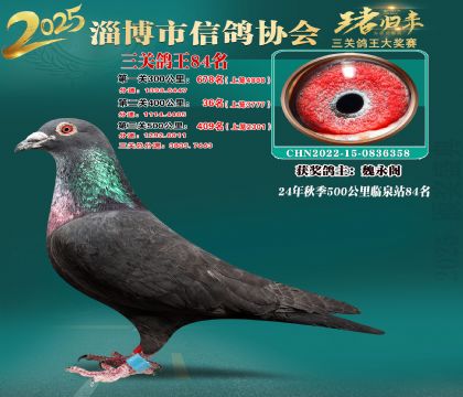 淄博鴿協(xié)普賽84名