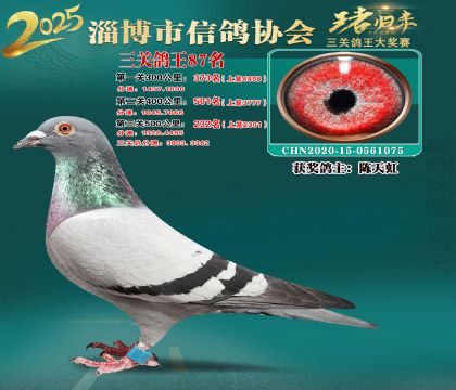 淄博鴿協(xié)普賽87名