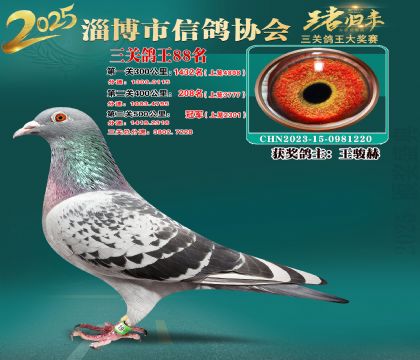 淄博鴿協(xié)普賽88名