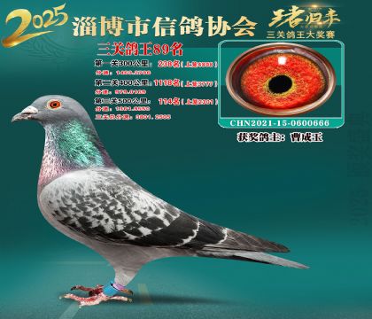 淄博鴿協(xié)普賽89名