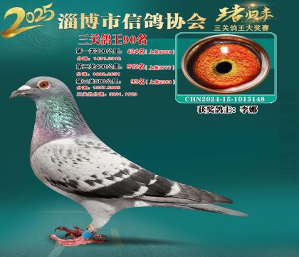 淄博鴿協(xié)普賽90名