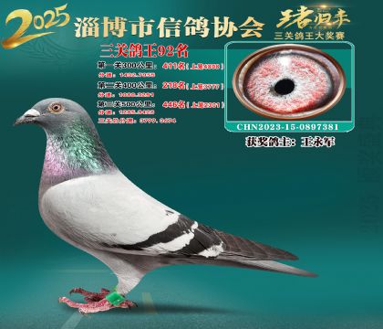 淄博鴿協(xié)普賽92名