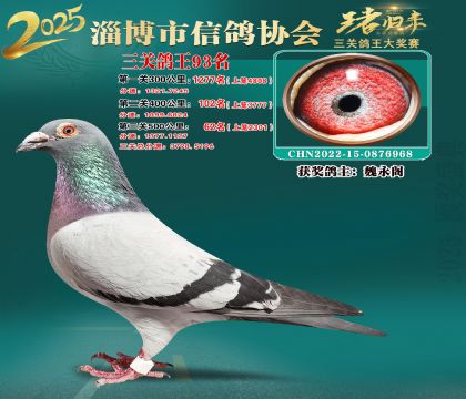 淄博鴿協(xié)普賽93名