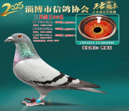 淄博鴿協(xié)普賽96名